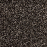 Tulle Cove A4 Samples