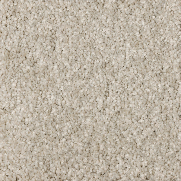 Starlight A4 Samples