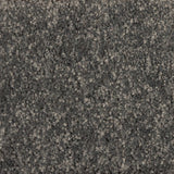 Starlight A4 Samples