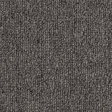 Gabbro