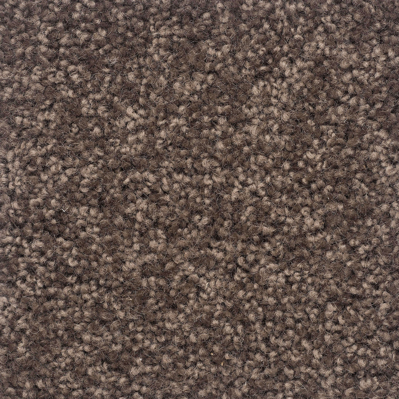 Moods of Monet II A4 Samples