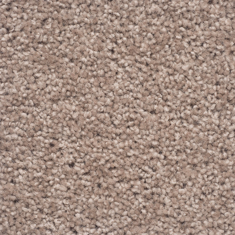 Moods of Monet II A4 Samples